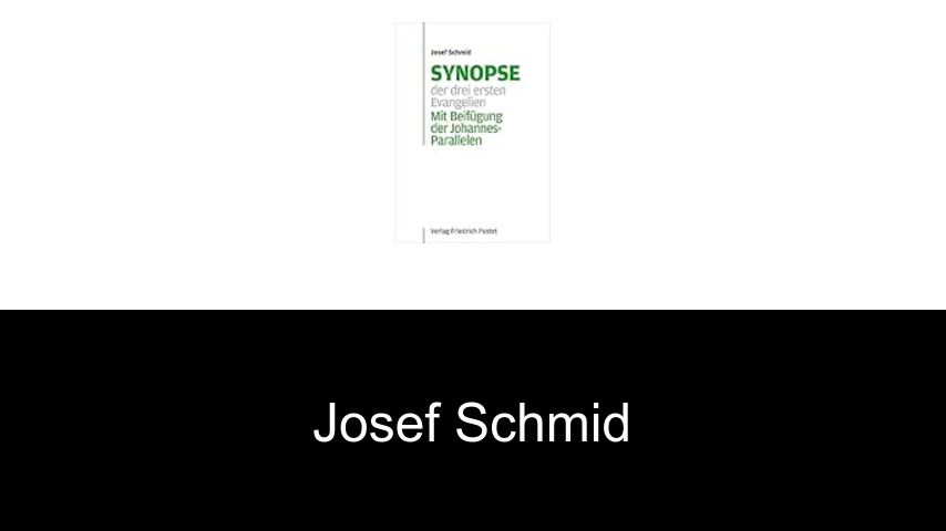 Bücher von Josef Schmid
